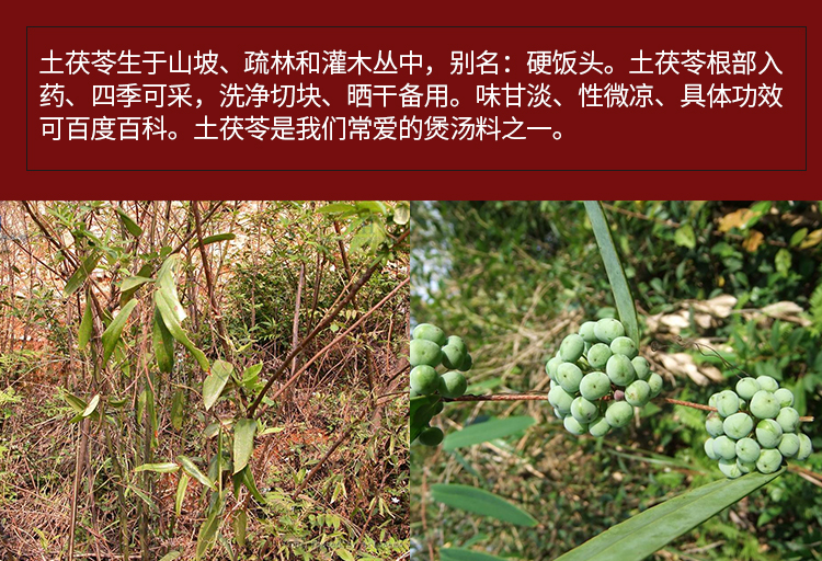 杞里香 土茯苓新鲜茯苓500g农家现挖鲜生土茯苓广东煲汤料