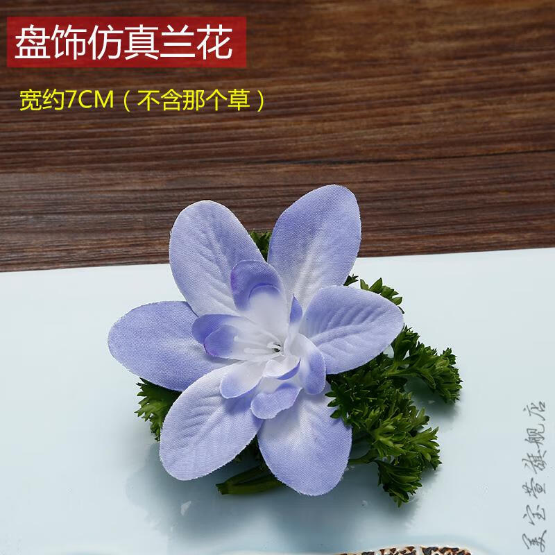 杨兰花种子图片