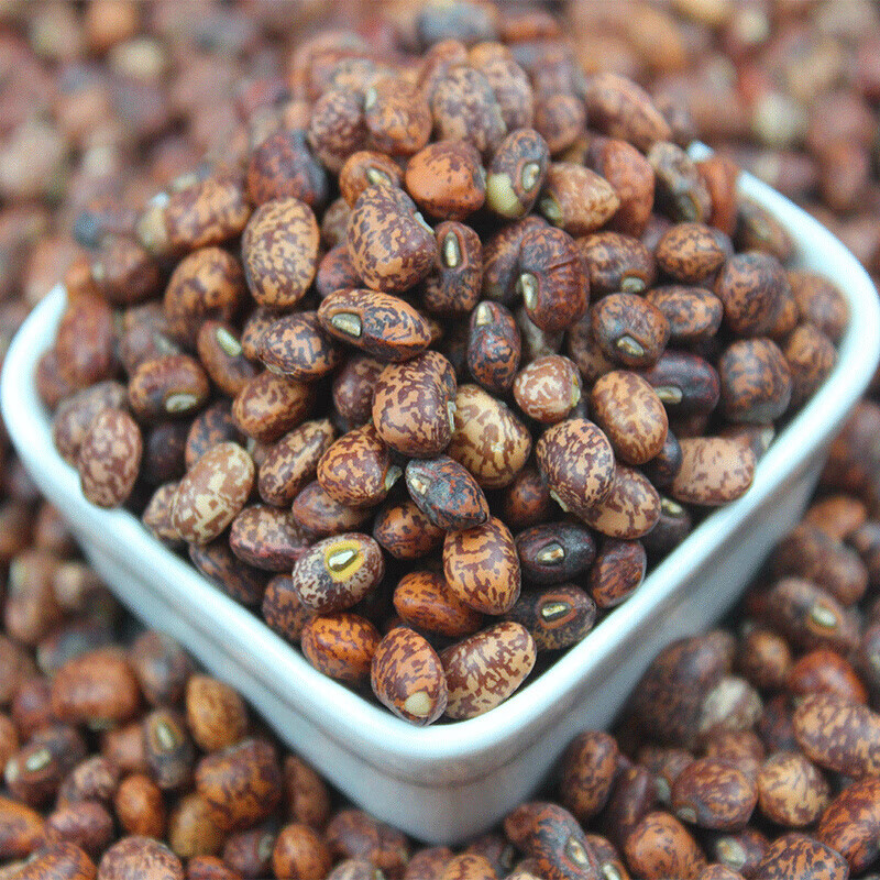 新生麻豇豆花江豆饭豆小麻豇豆农家梨花豇豆五谷杂粮