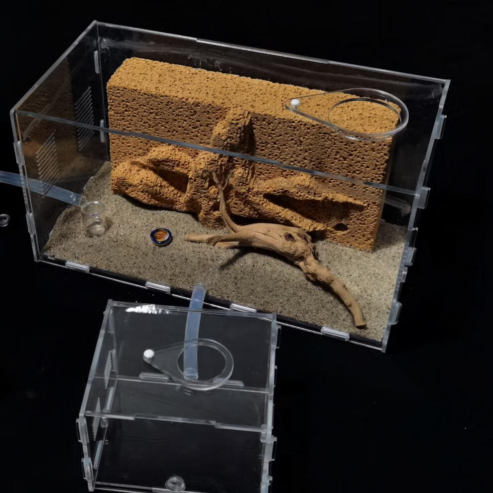 蚂蚁城堡宠物蚂蚁生态箱五代天然吸水石蚁巢手工蚁村部落蚂蚁工坊