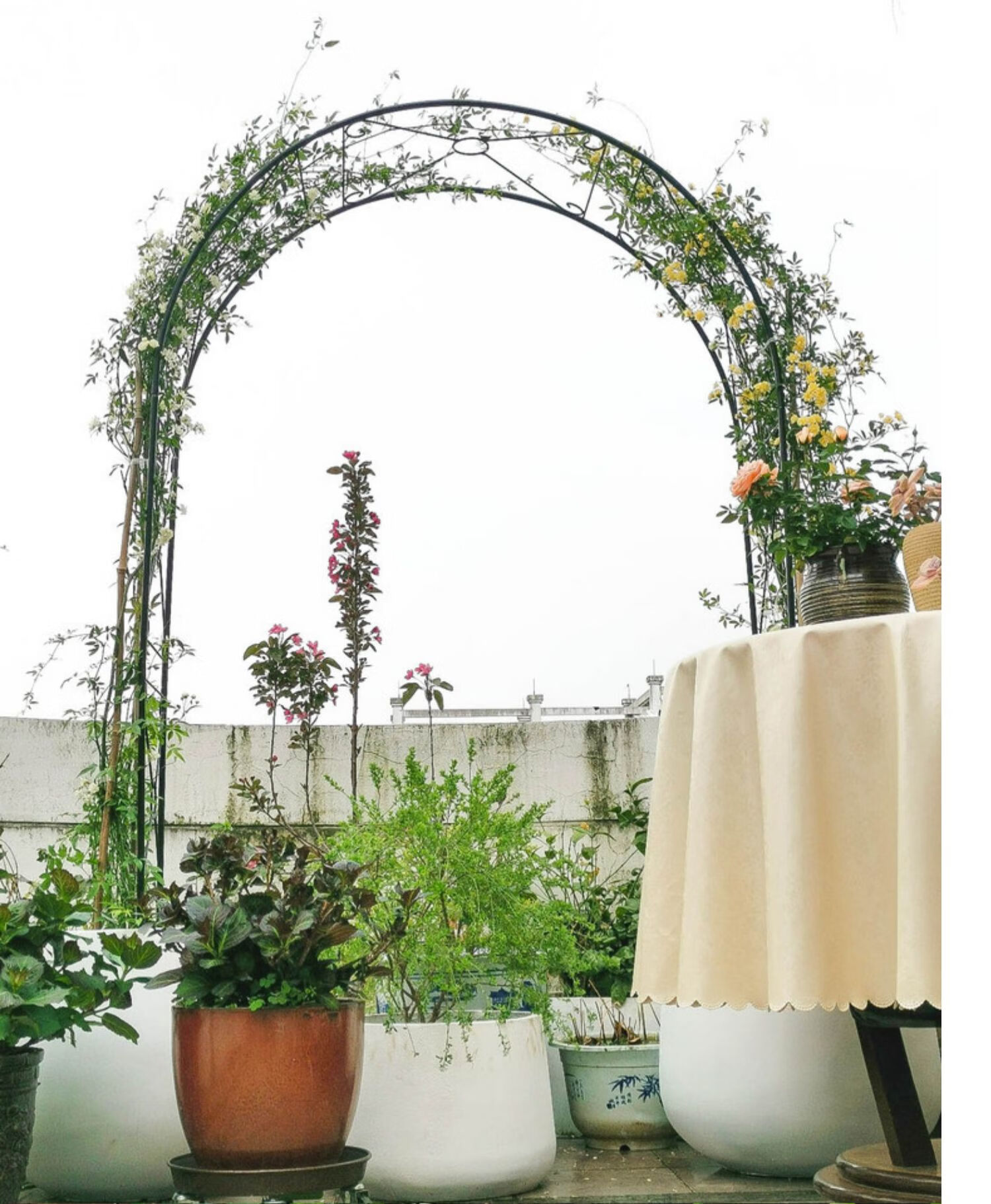 铁艺庭院拱门花架藤本月季攀爬架铁线莲园艺出口门廊支架 白色 大