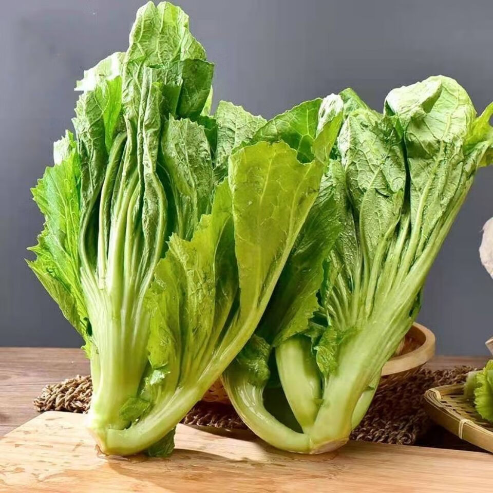 新鲜包心芥菜贵州大叶青菜苦青菜盖菜现摘整颗蔬菜腌菜泡菜酸菜4斤