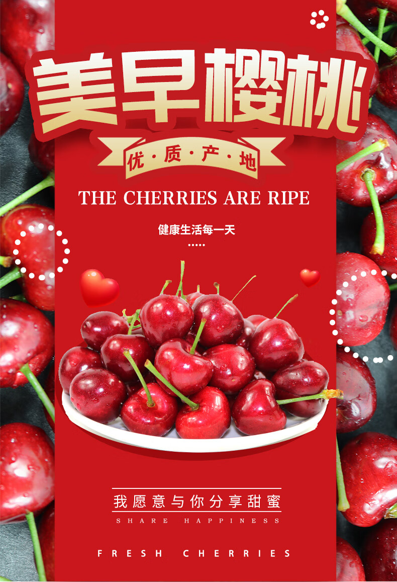 庄河馆大连美早大樱桃国产樱桃沙蜜豆托生鲜新鲜水果应当季车厘子新鲜