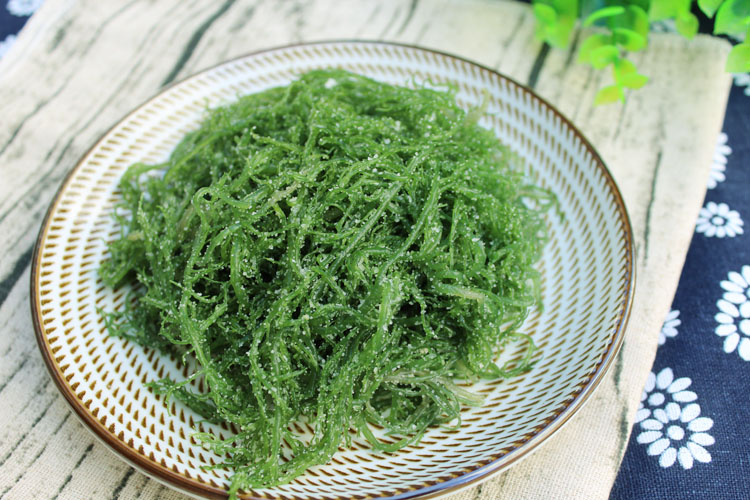 海草龙须菜盐渍龙须菜5斤新鲜海菜海藻菜海草丝海石花菜凉拌菜裙带