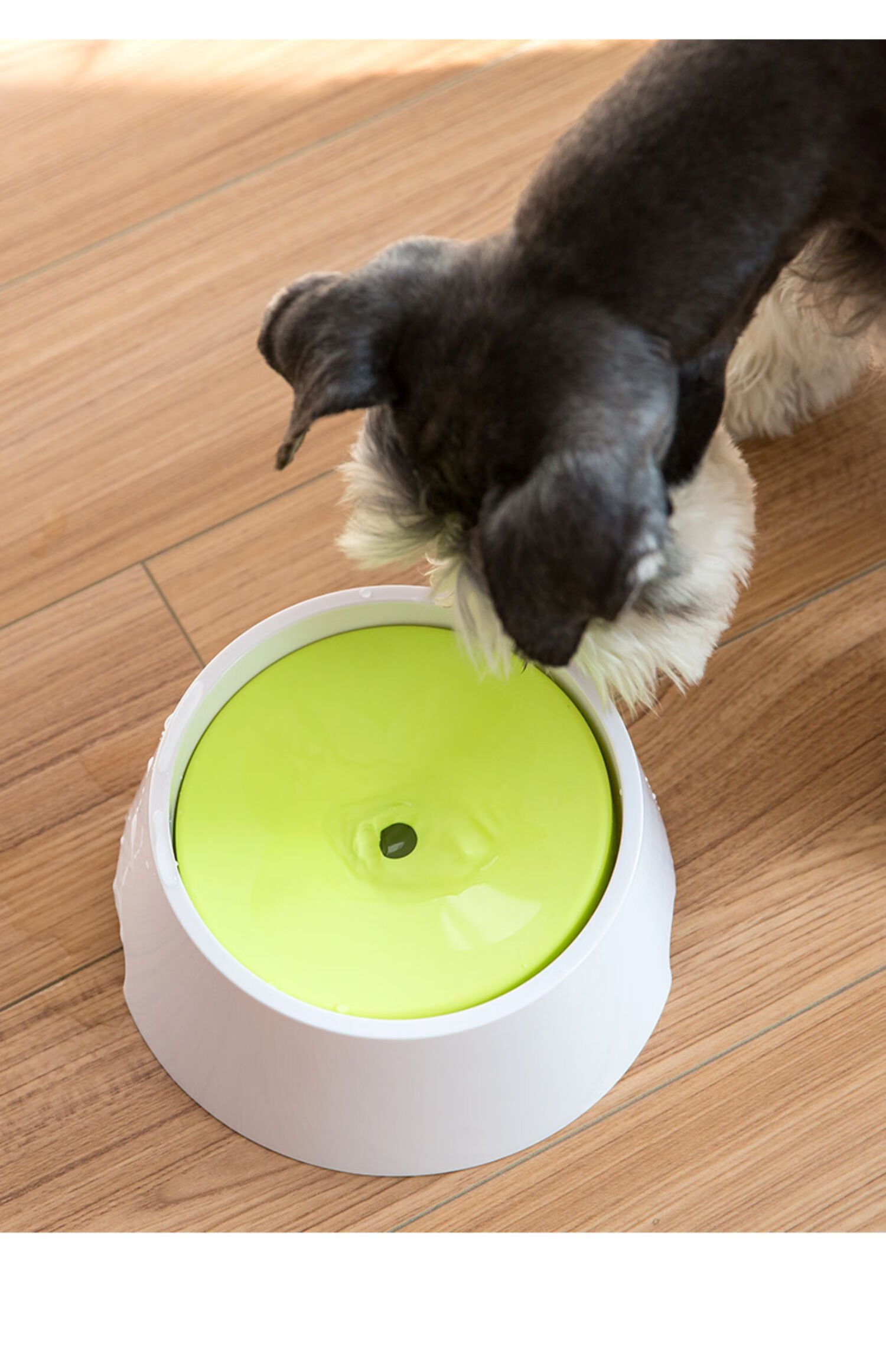 狗碗狗盆大型犬防打翻大号不锈钢狗狗食盆饭盆粮水碗中型宠物用品tx