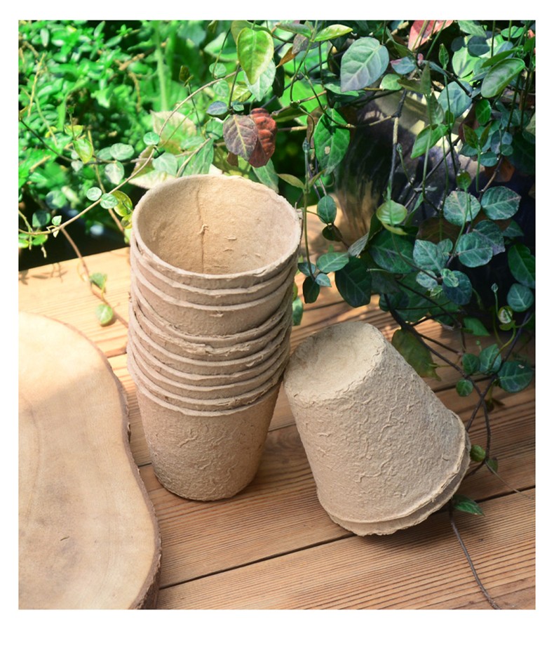 bloombagz纸浆育苗杯盆可降解育苗钵培育花盆定植盆营养杯育种盆 纸浆