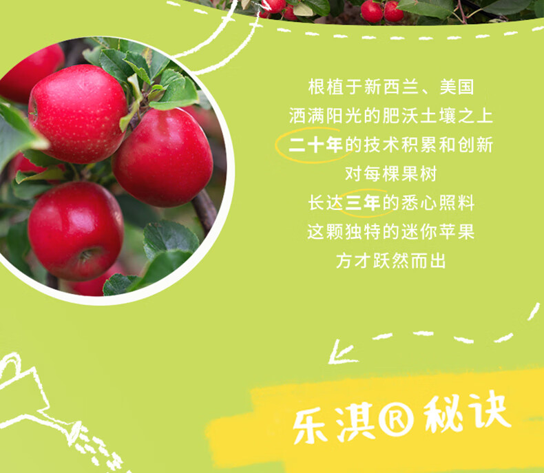 新西兰进口rockit火箭筒苹果新鲜火箭小苹果原箱16筒80个单筒350g