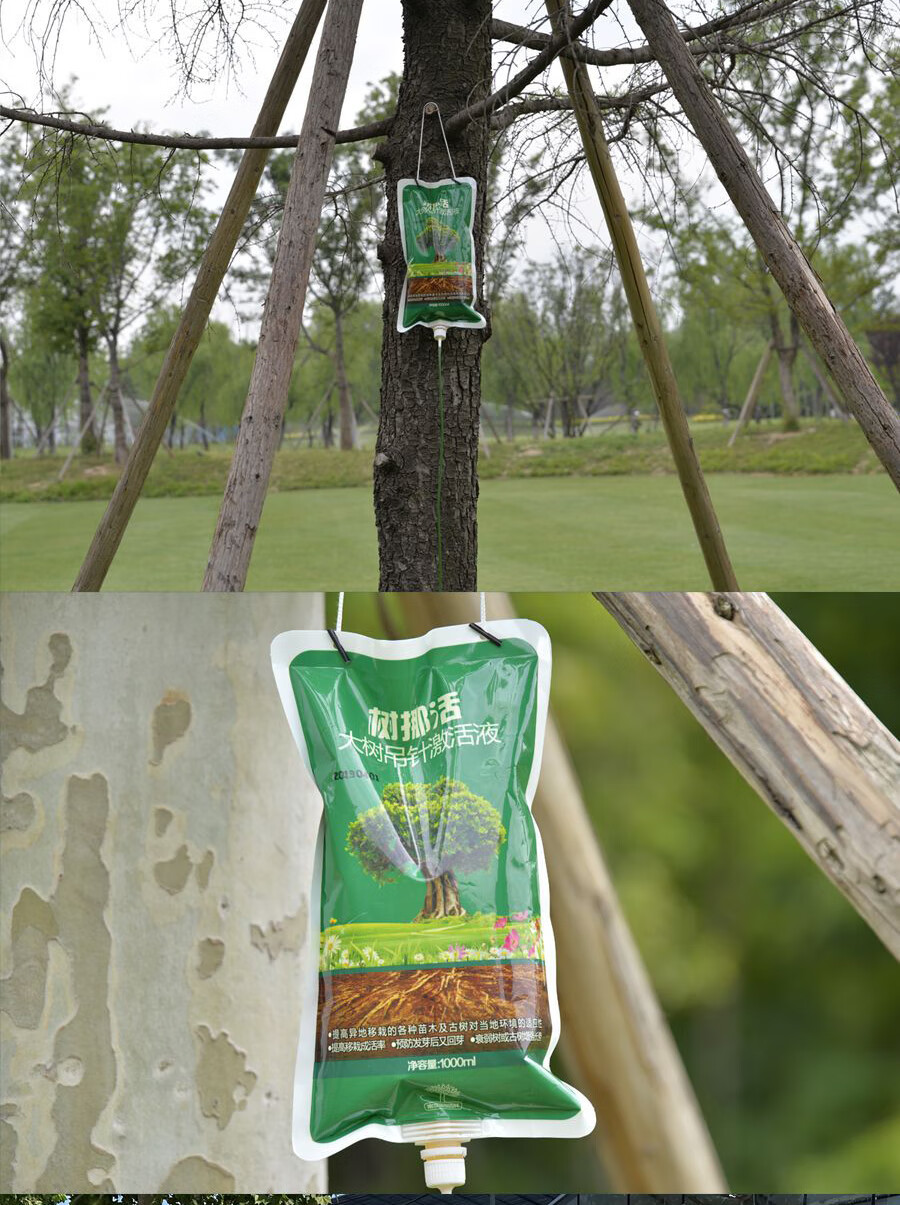 通用型大树营养液移栽吊针液果树生根剂树木输液激活液袋针管子 60袋 