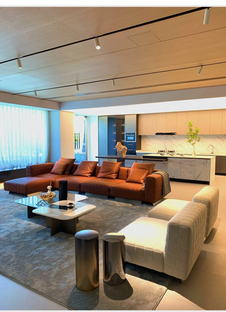 广东佛山家具沙发真皮 意大利米诺提直排真皮沙发组合大户型客厅