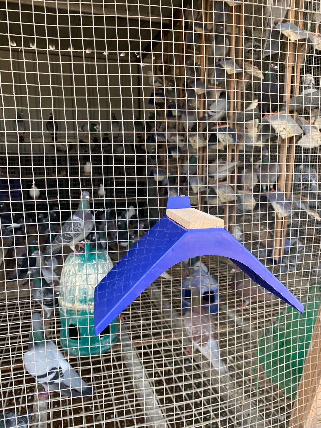 鸽子站架信鸽鸽具铁丝网挂钩栖架木质塑料栖架站架栖息站架梦雷宠新款