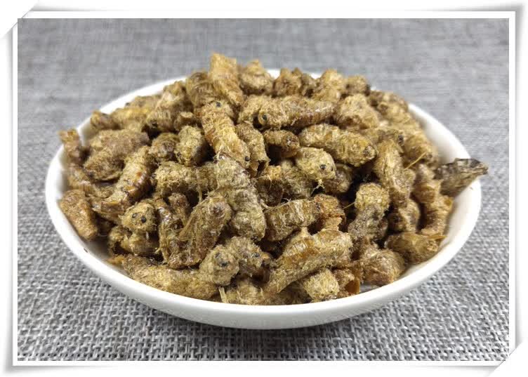 6765精选雄蚕蛾500g晚蚕蛾天蛾蚕蛾蚕蛾雄蚕蛾中药材粉新货推荐