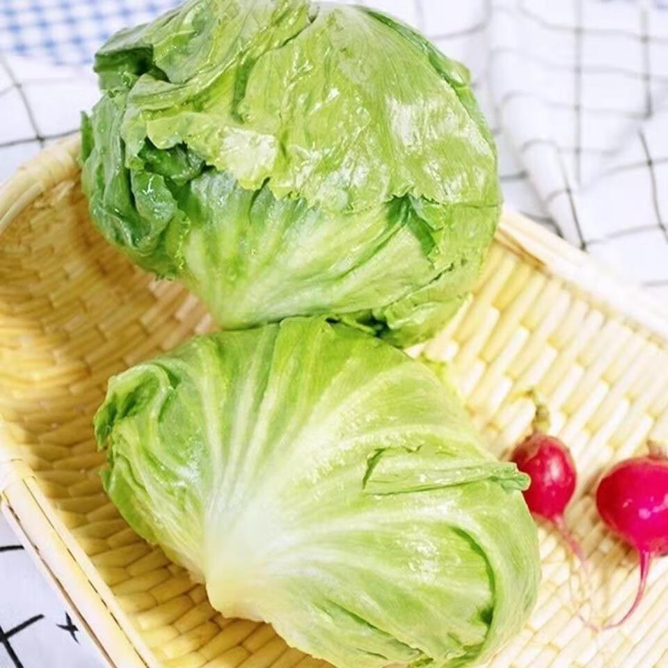 生菜球新鲜球生菜新鲜蔬菜沙拉菜生吃结球生菜汉堡生菜蔬菜沙拉菜