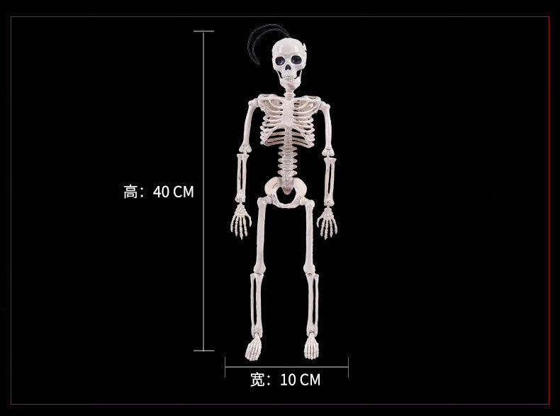 萬聖節骷髏骨架模型萬聖節裝飾仿真人骨頭屍體密室逃脫道具鬼屋恐怖