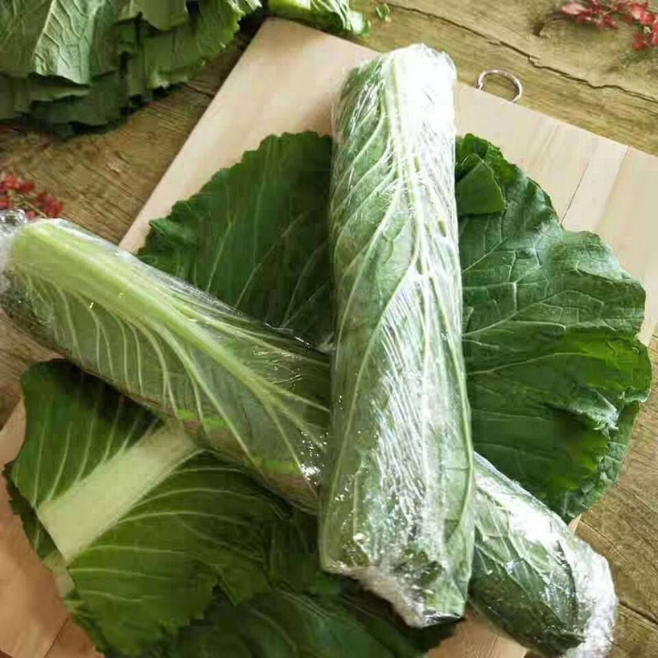 【精选生鲜】东北正宗白菜叶新鲜蔬菜大白菜叶打饭包专用叶现摘现发