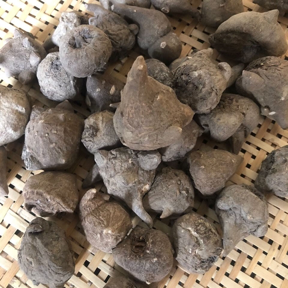 中药魔芋片中药材四川江油川干乌头制川片乌片乌头和片 精选川乌 