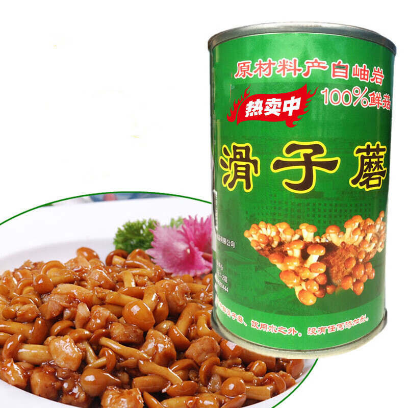 新鲜滑子菇罐头香嫩清水蘑菇菌菇开罐即食腌制煲汤食用菌批发