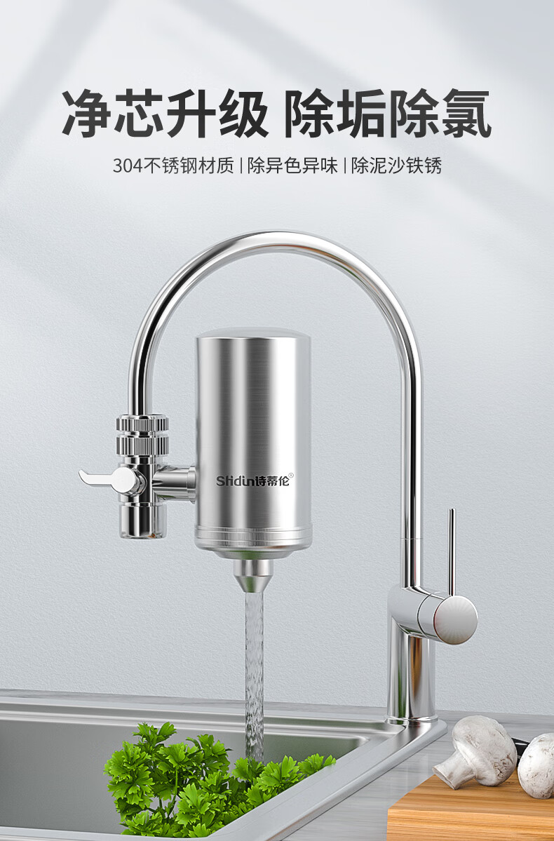 德克史帝夫净水器 不锈钢除水垢净水器家用直饮水过滤滤水器龙头净水