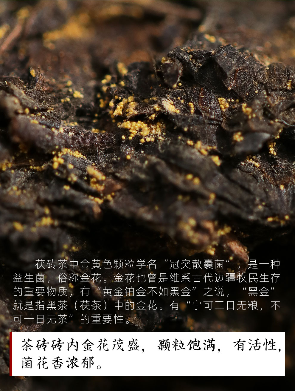 白沙溪官方旗艦店安化黑茶天茯茶金花茯磚茶葉【一級天尖精料,手工精