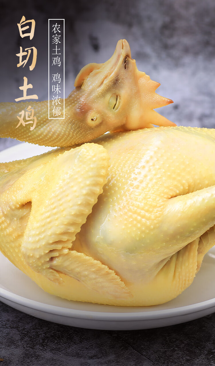 5折 广东白切鸡即食 白斩鸡整只蘸料盐水鸡湛江口水鸡850g 卤味老鸡85