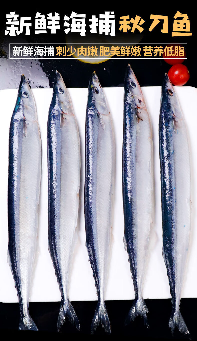秋刀鱼冷冻大号鲜活海捕深海鱼日式秋刀鱼烧烤食材海鲜林诺新威2斤香