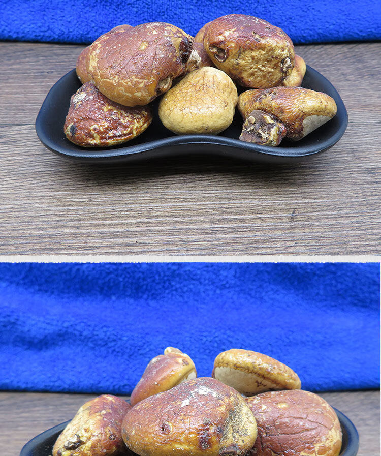 材 须元果 无根果 隐孔菌 树荷包觅阳果 100克/件【图片 价格 品牌