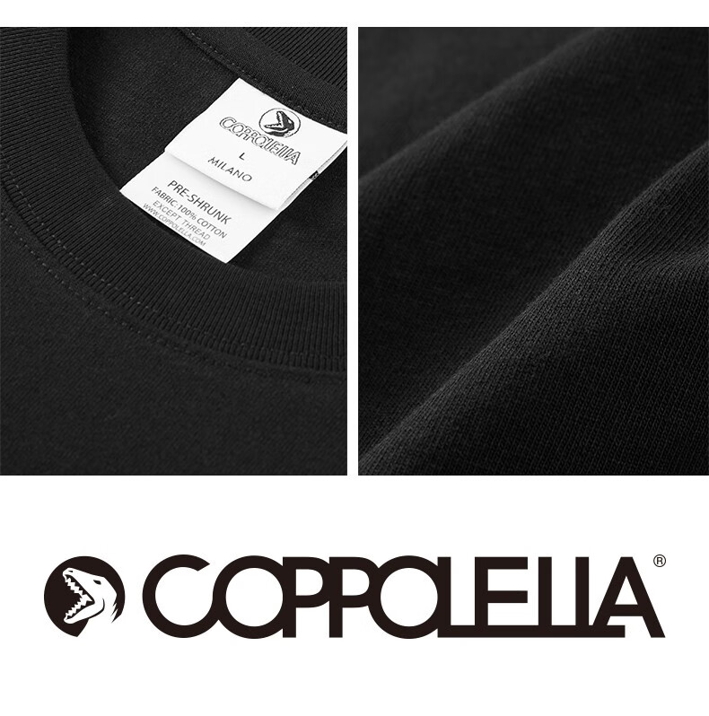 coppolella小恐龙潮牌新款纯棉宽松短袖t恤男个性胶印潮流内搭衫黑色m