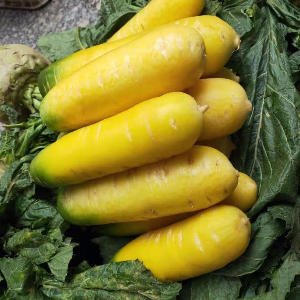 精选生鲜现挖山西黄胡萝卜新鲜蔬菜宝宝辅食2斤5斤10斤绿色水果萝卜