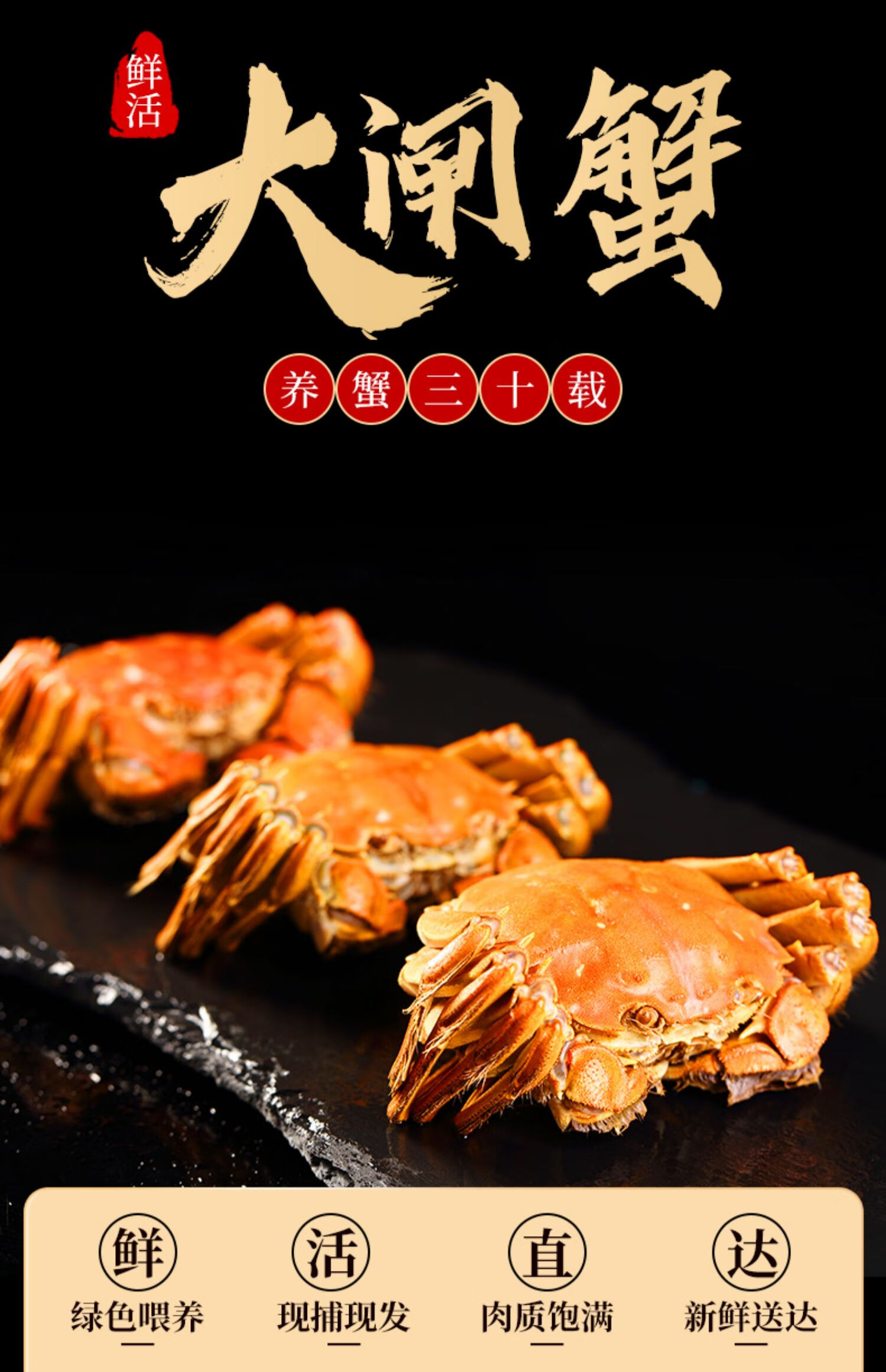 大闸蟹 特大14只大闸蟹公母蟹镇官方旗舰河蟹现货礼盒【图片 价格