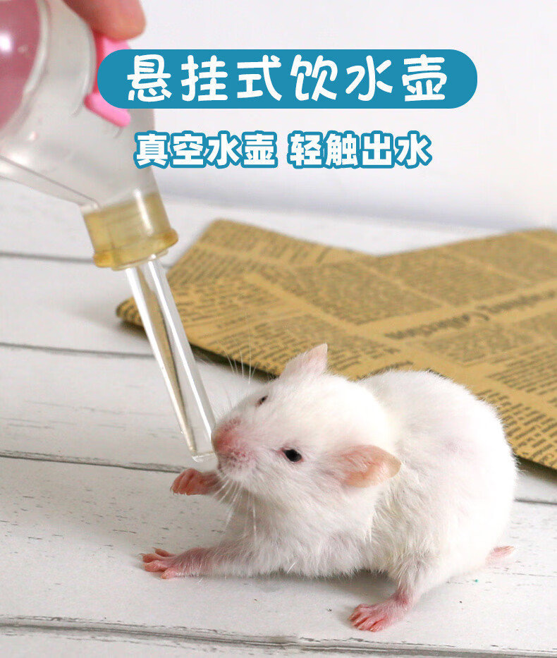 仓鼠兔子猪金丝熊喝水喂水器滚珠水壶饮水器防漏水壶粮食用品 【活动