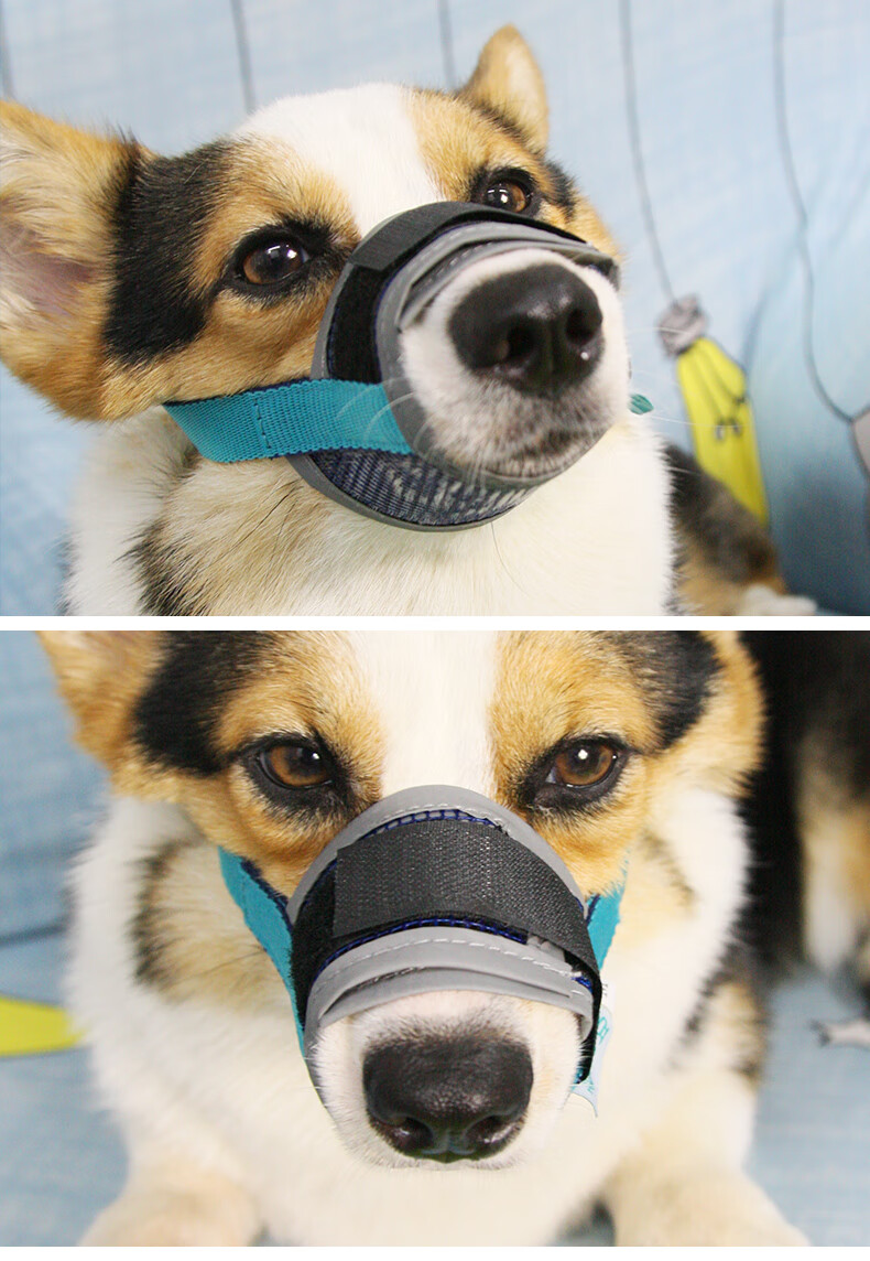 狗狗网状透气嘴套防咬防叫防乱吃止吠器宠物嘴罩大中小型幼犬口罩tx