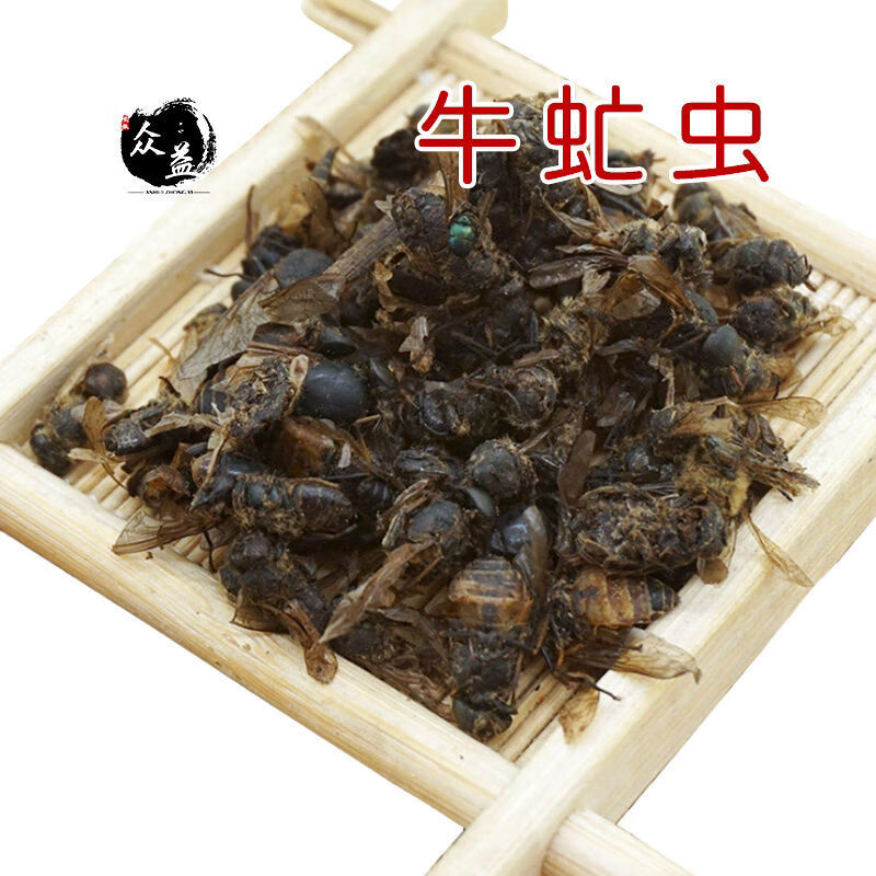 中藥材牛虻蟲乾貨牤蟲牛蚊子牛蠅子牛蒼蠅牛虻蟲 牛虻