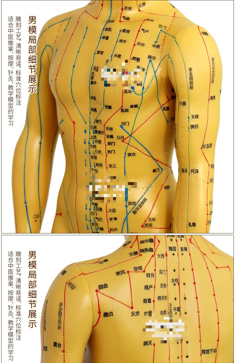 针灸穴位人体模型可扎针经络女足部十二铜人图中医针练习女模高48cm