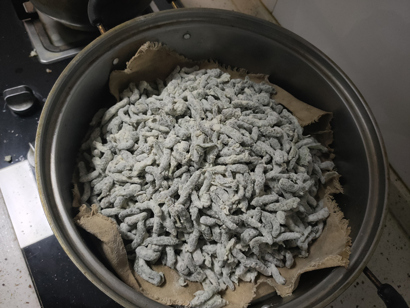 2022年构树穗新鲜构树花蒸菜棒槌儿1500g