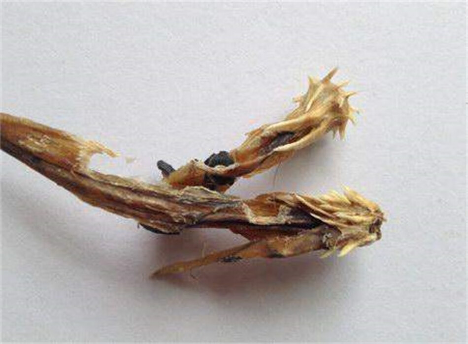 蛇鞭酒男用蛇鞭干泡酒料滋补养身眼睛蛇鞭干货干蛇鞭50克