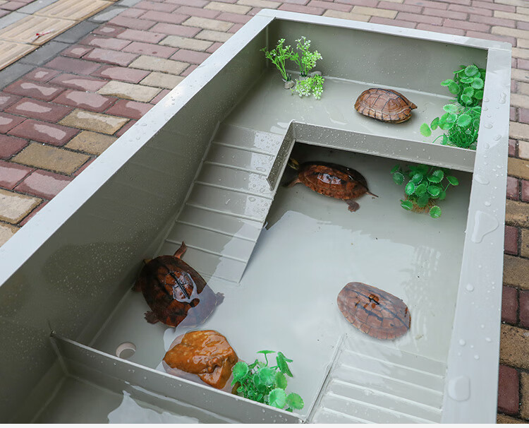 龟池养殖箱家用大型龟苗小龟带晒台喂食区龟缸龟箱南石龟草龟巴龟122