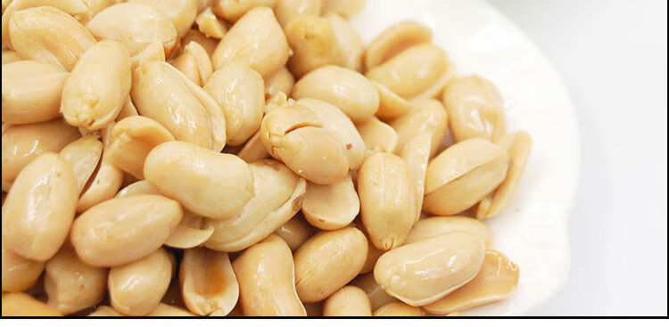 大马佐恩刘垓子白仁山东临清特产刘垓子白仁礼盒五香香辣脱皮油炸新