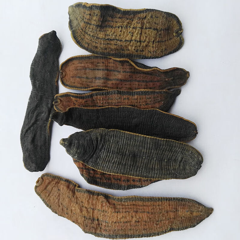 中药材水蛭蚂蟥 清水吊干水蛭干货 无严无凡100克 小水蛭100g【图片