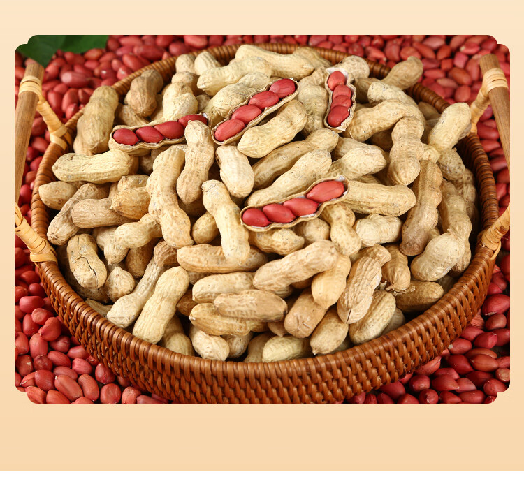 红皮花生米生新鲜晒干带壳花生种子原味散装四粒红衣花生5斤 生的红皮
