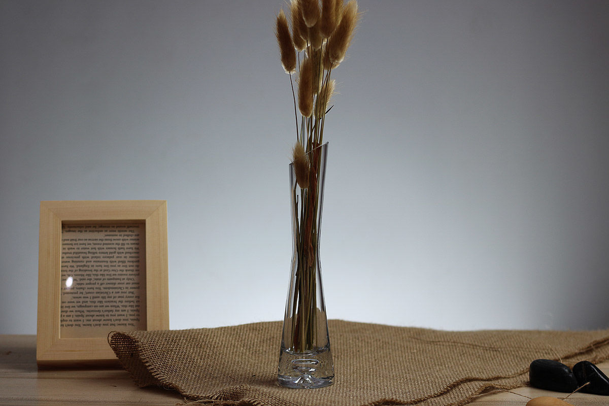 轻奢细长小口细长养花细高清新个性透明水培绿萝玻璃小花瓶插花 高23