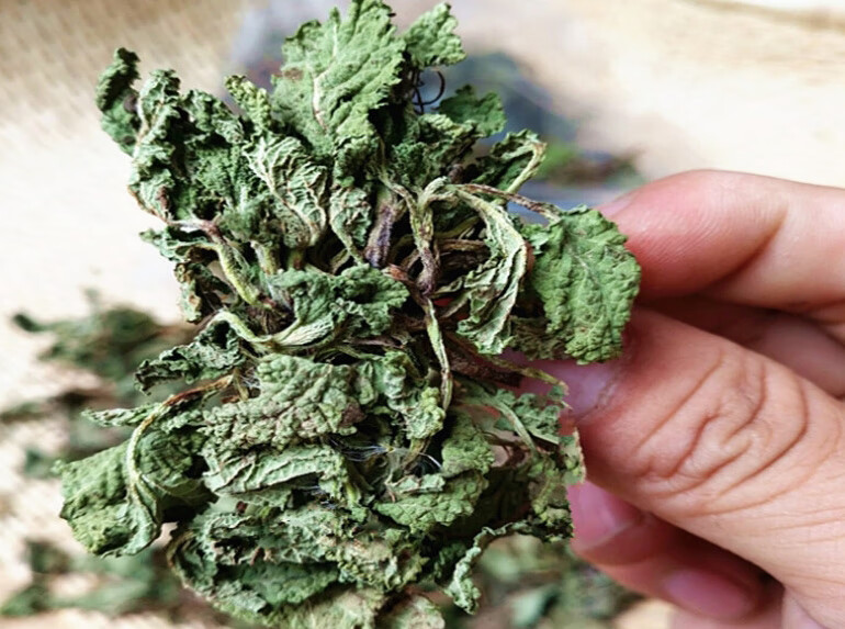 蛤蟆草茶癞荔枝草茶叶特级中药材新鲜蛤蟆草干叶泡茶2罐新货