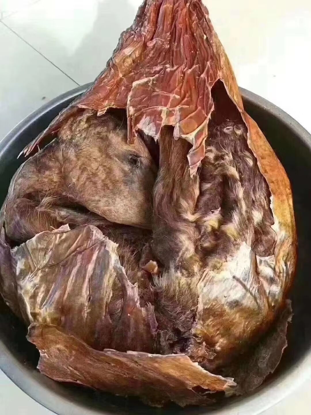 伟博吉林梅花鹿鹿胎粉一瓶250克干鹿胎磨粉带勺鹿胎粉一瓶半斤一瓶250