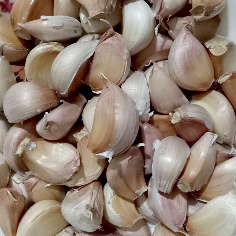 【坏果包赔】手工精选2021大蒜瓣山东特产紫皮大蒜农家自种新鲜蔬菜 