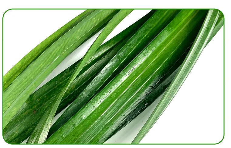 媚调 新鲜香兰叶(发顺丰)班兰叶可做斑斓千层糕 250