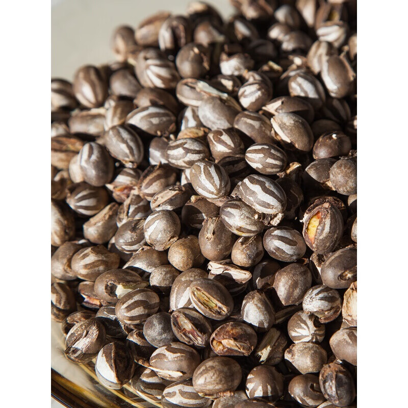 250g刺蛾洋辣子罐蛋蜜袋坦克虫羊喇活体美味昆虫蚕蛹