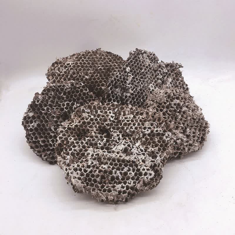 露蜂房中药材马蜂窝黄蜂房可打蜂房粉中药材店铺 100g/件 250g【图片