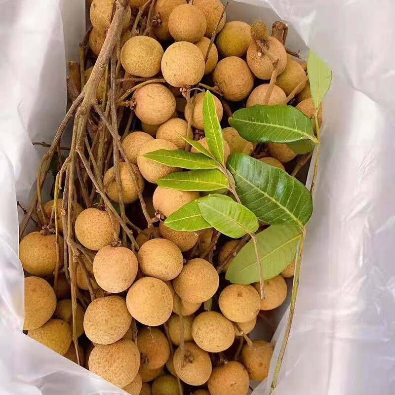 5斤 草埔龙眼5斤装【图片 价格 品牌 报价】-京东