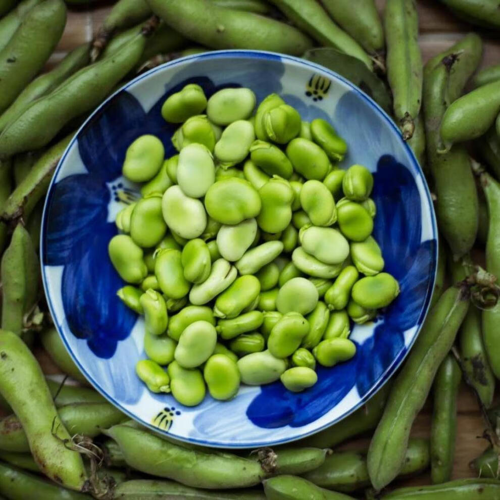干蚕豆 生蚕豆 青蚕豆 苏北新蚕豆胡豆罗汉豆可发芽 半斤