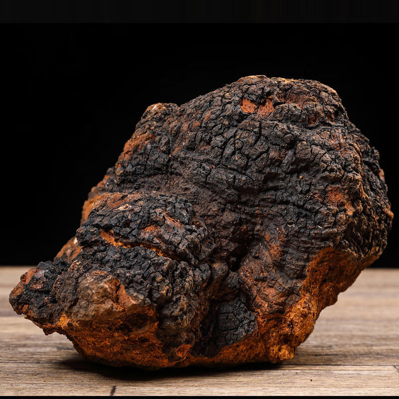 桦树茸野生俄罗斯白桦茸桦褐孔菌特级胰岛素黑金整块切块33年桦树茸2