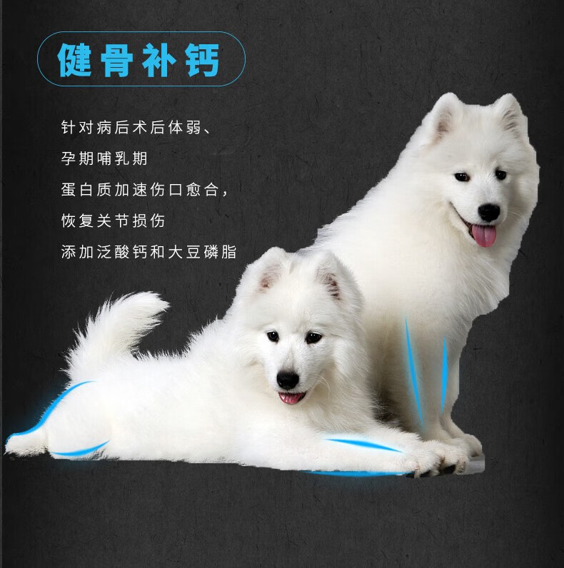 052b5f51404989ff.jpg