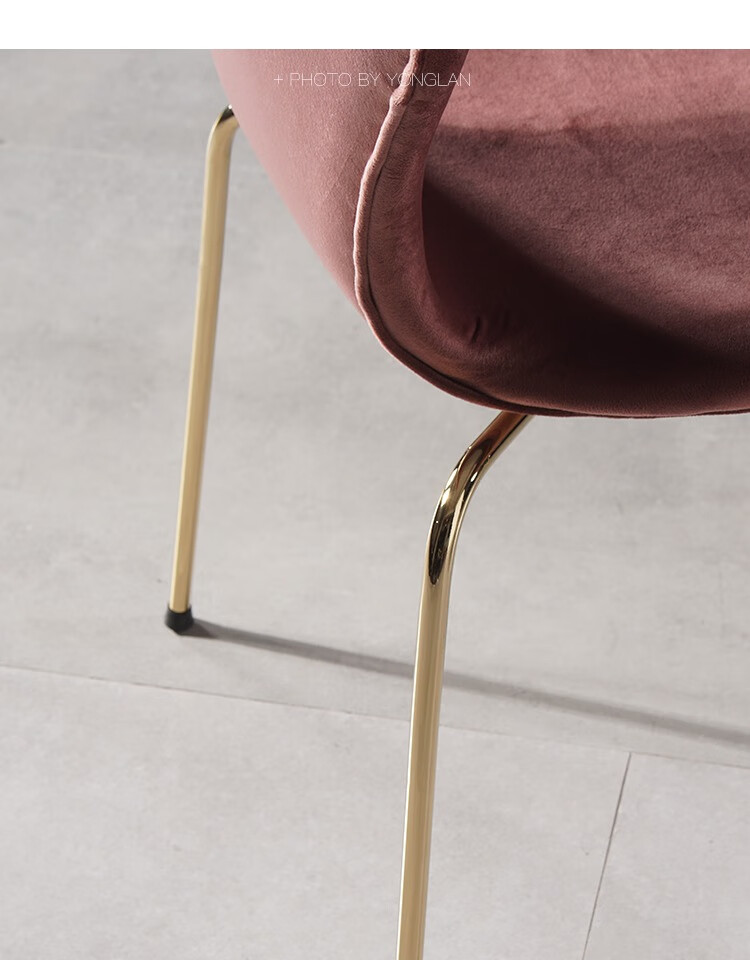 北欧化妆椅 蝴蝶椅现代简约布艺椅子网红ins咖啡厅丝绒轻奢金餐椅